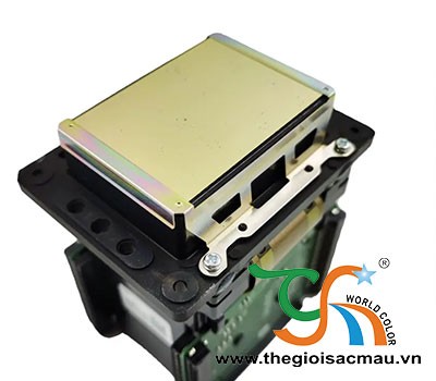 Đầu Phun DX7
