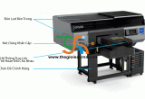 Các Loại Máy In Áo Thun Pet Tốt Nhất Hiện Nay